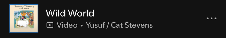 Wild World - Cat Stevens